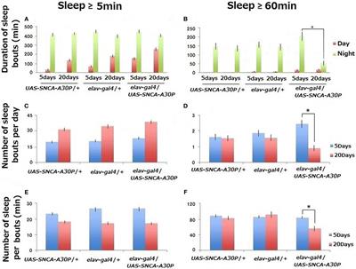 Effects of Kamikihito and Unkei-to on Sleep Behavior of Wild Type and Parkinson Model in Drosophila